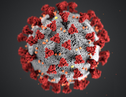 Coronavirus
